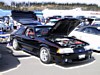 icmc0955.jpg
154.71 KB
800 x 600